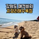 지경리 | 강원도 애견동반 펫비치 지경리해수욕장 샤워실 주차 화장실