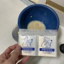 조원 동물병원 이미지
