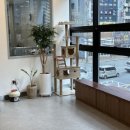 동일동물병원 이미지