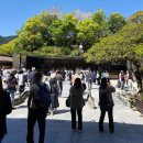 중방-8(중방사거리 버스정류장 옆) | 26년 4월 벚꽃 여행(一日目), 후쿠오카 하카타역, 쇼후쿠지, 다자이후텐만구, 큐슈국립박물관