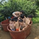 물방울 쌓기 Daum카페