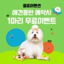 가평 여행 숙소 추천 클로이펜션 이용후기