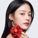 까멜리아 이미지