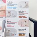 도토리살롱 이미지