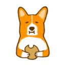 치즈 애견유치원&애견호텔 이미지