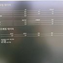 케미사 포토에이드 그레이 변색렌즈로 눈부심 불편함 해결해드린 후기!