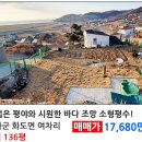 강화도부동산공인중개사사무소 이미지