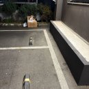 사무실 2층 화장실 | 사무실청소 용역, 업체 사용 후기 및 가격 비교해보니