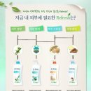 이브스 테라피