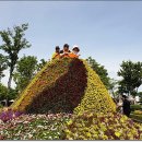 내고향 순천 이미지