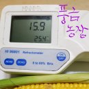 초당농장 이미지