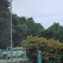 영상테마파크 관광안내소 이미지