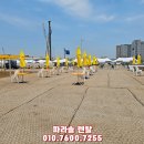 파라솔식당 이미지