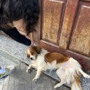 호스텔 루비 이미지