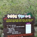 옻샘약수터 이미지