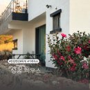 상송 | 제주 한림펜션 가족끼리 머물기 좋은 독채 숙소 상송하우스