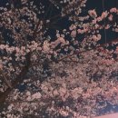 정각사입구 이미지