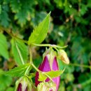 상지말저수지 이미지