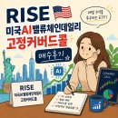 밸류빅 | RISE 미국AI밸류체인데일리고정커버드콜 매수후기