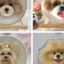 반려동물 양모 초상화 만들기 이미지
