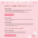 체리블라썸 이미지