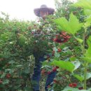 수야농장 이미지