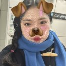채리스토어 이미지