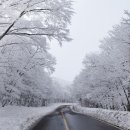 한라산횟집