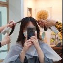 노벨리아 헤어 이미지