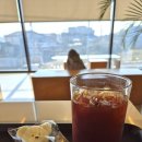 김포 통진 이색카페 피트제로 rc카 레이싱카페