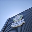 고령카페 가야제과 가야쿠키와 가야슈패너 디저트 맛집 추천