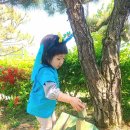 꽃무지어린이집 네이버블로그