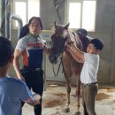 거창 오로라 승마장 이미지