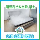 협성세탁 이미지