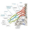 주관한의원 이미지