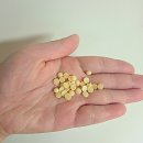 땀박골 | 여름 땀냄새 걱정 끝! 아로퓸 시그니처 향기부스터 엑스트라 사용후기