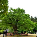 한마음타운 이미지