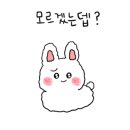 야옹아 멍멍해봐 평거점 이미지