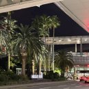 대포해장국 | 제주 가족여행 1.5일차(동문시장, 소노벨 제주, 우진해장국, 쇠소깍, 대포주상절리, 소노캄 제주, 흑돼지)