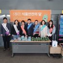 죽전 이미지