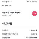 모멘트H+ 네이버블로그
