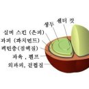 플랜비식음료학원