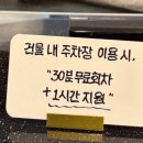 빈숲