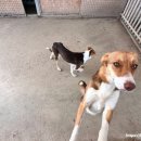 종인목장 이미지