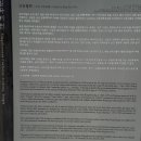수지114 이미지