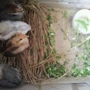 구름농장 이미지