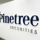 소나무파인트리(PINE TREE) 이미지