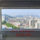 완월동234 이미지