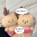 망곰이 인형 키링 스티커 내돈내산 후기, 유랑상점