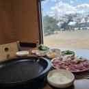 강변생오리 이미지